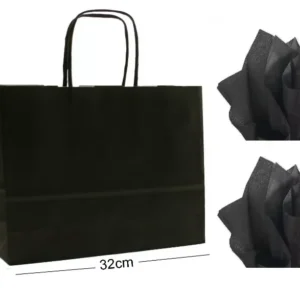 Landscape Gift Bags Large Paper Party Bag with Tissue Wrap Multi-color Kraft