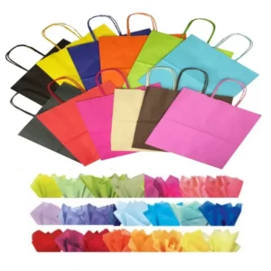 Landscape Gift Bags Large Paper Party Bag with Tissue Wrap Multi-color Kraft