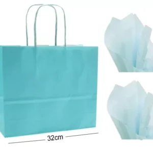 Landscape Gift Bags Large Paper Party Bag with Tissue Wrap Multi-color Kraft